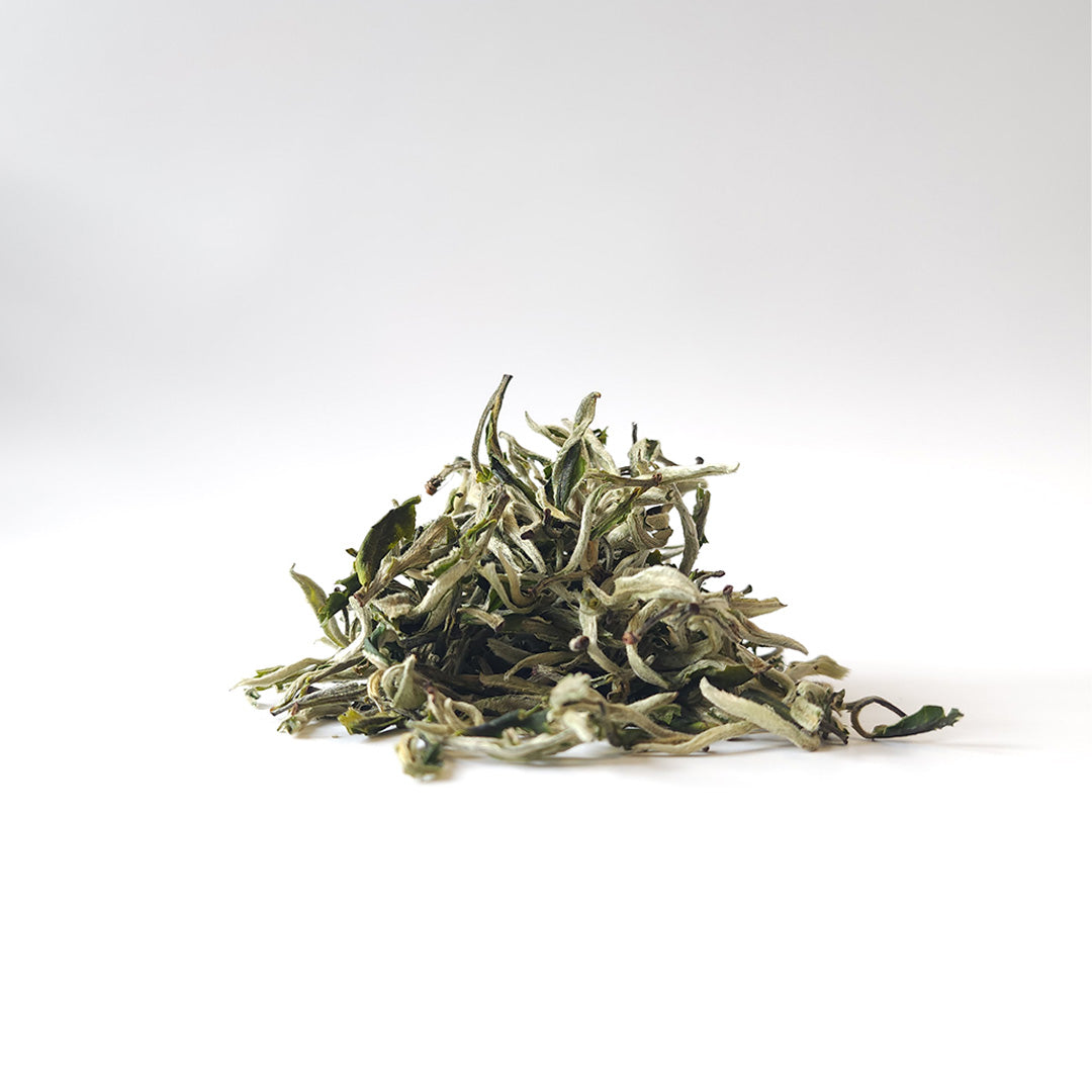 Mao Feng “Fur Peak”  First Flush Yunnan Green Tea - Spring 2025
