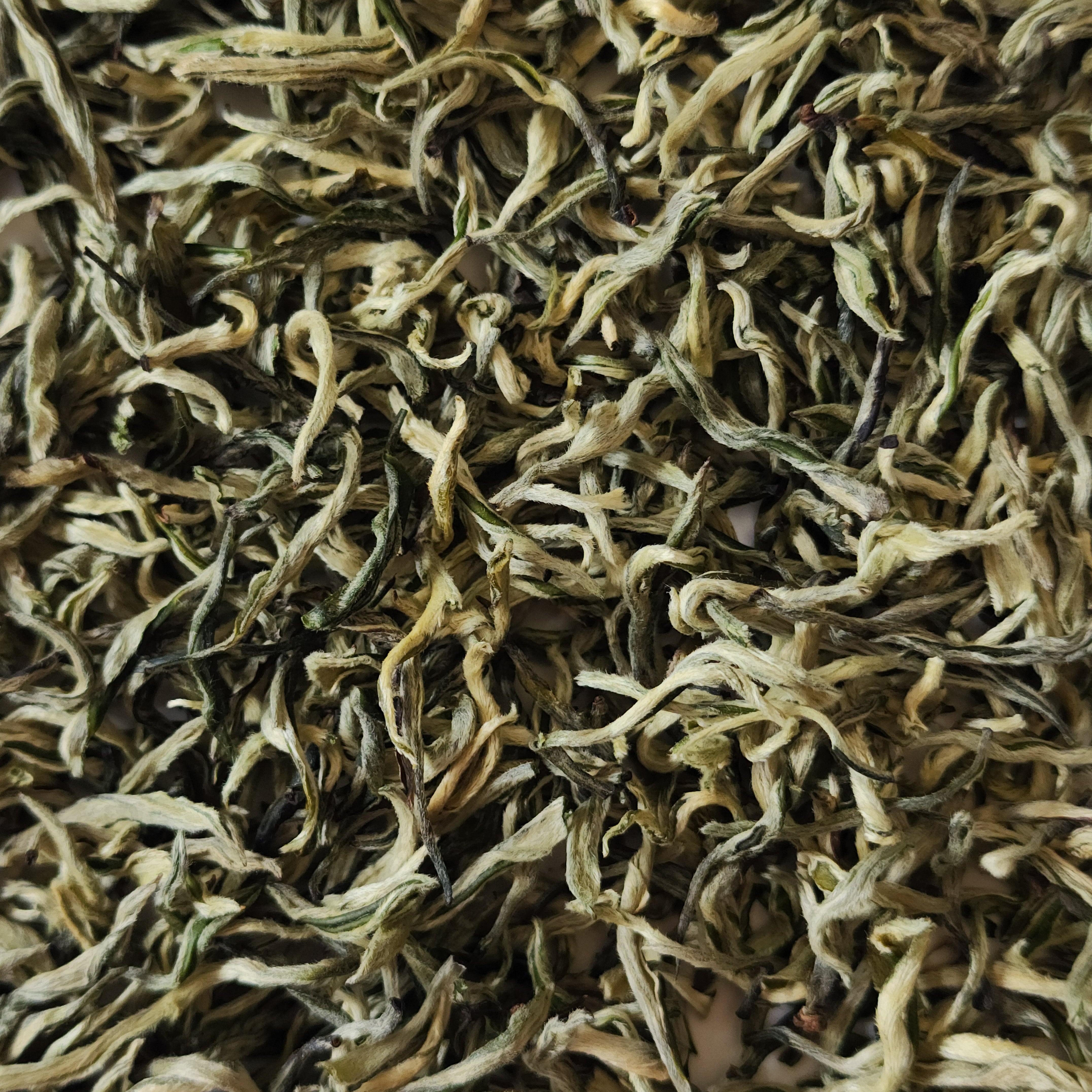 Pure Bud Silver Strands First Flush Yunnan Green Tea - Spring 2025
