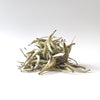 Imperial Grade Silver Needle Jinggu White Tea - Spring 2024