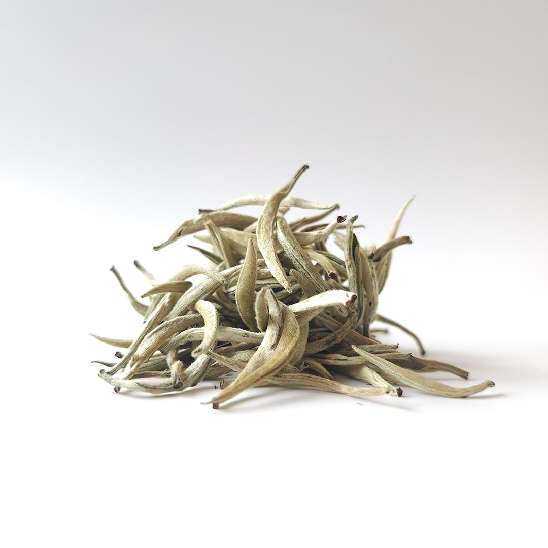 Imperial Grade Silver Needle Jinggu White Tea - Spring 2024