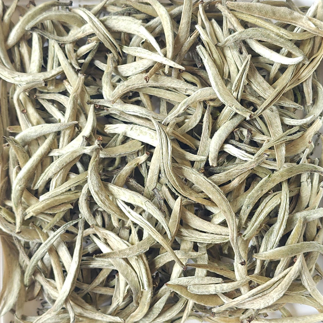 Imperial Grade Silver Needle Jinggu White Tea - Spring 2024